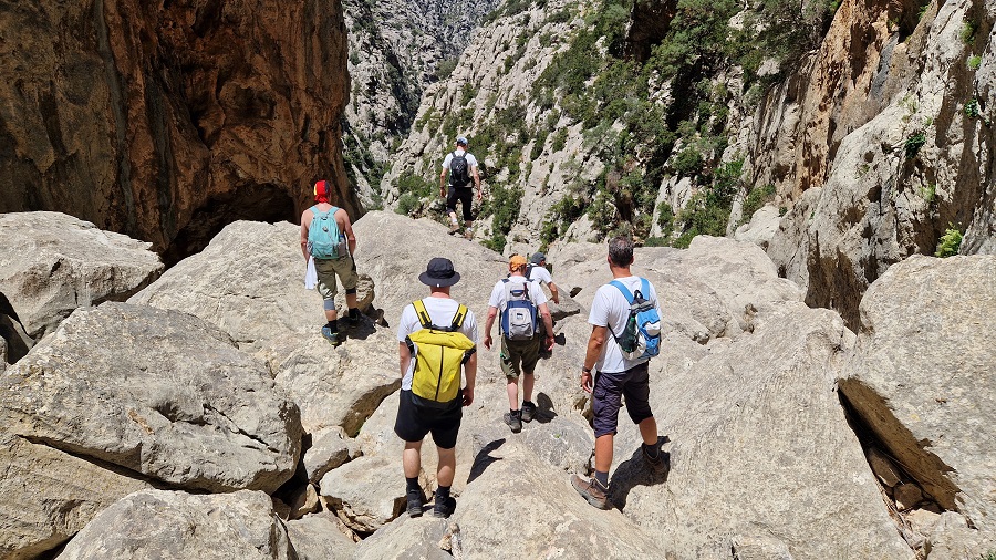 DER ABSTIEG VON 7 EINTRACHT-FANS